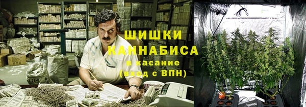 тгк Долгопрудный
