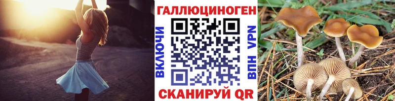 Псилоцибиновые грибы Psilocybine cubensis  Купить закладки  Полевской 
